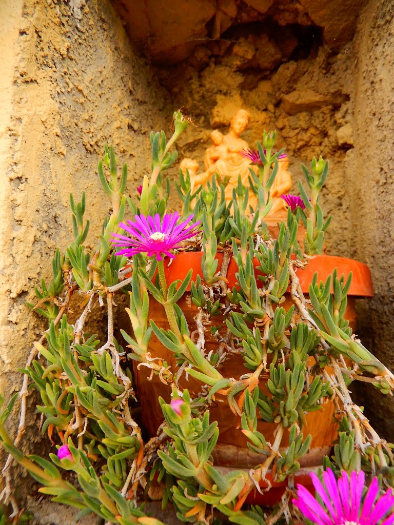 Detalhe de uma casa, Corleto Perticara, Italia by Sandra Pires