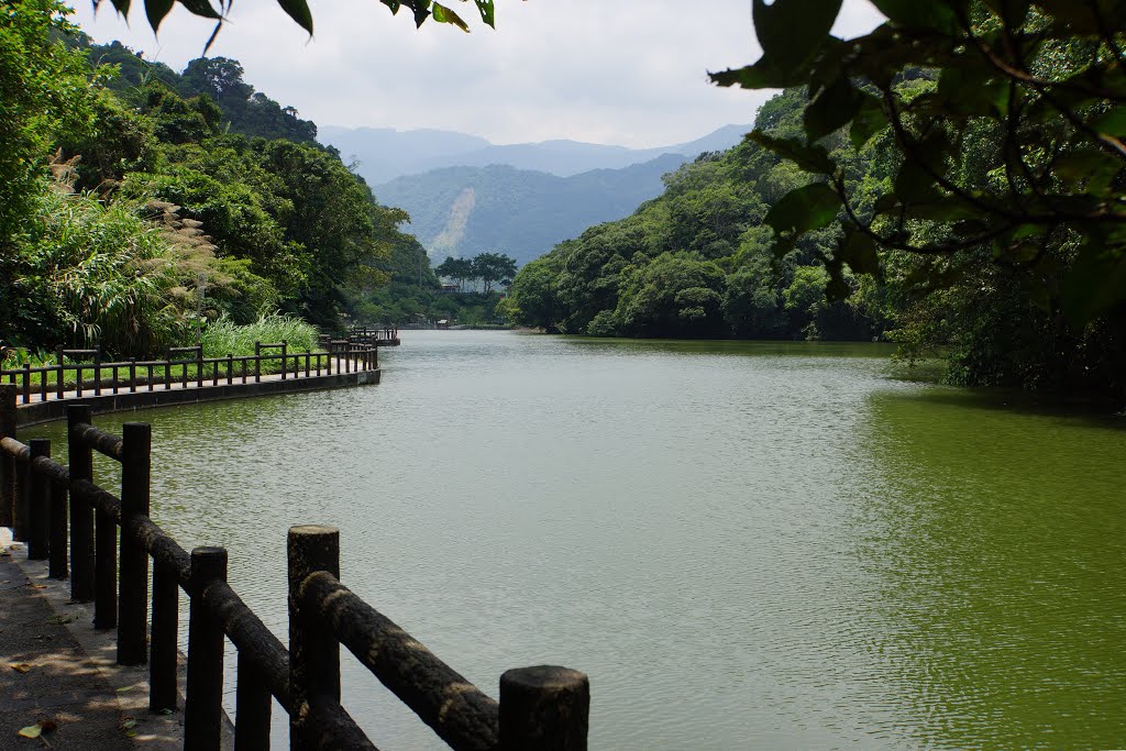 長埤湖 Changpi Lake by lienyuan lee