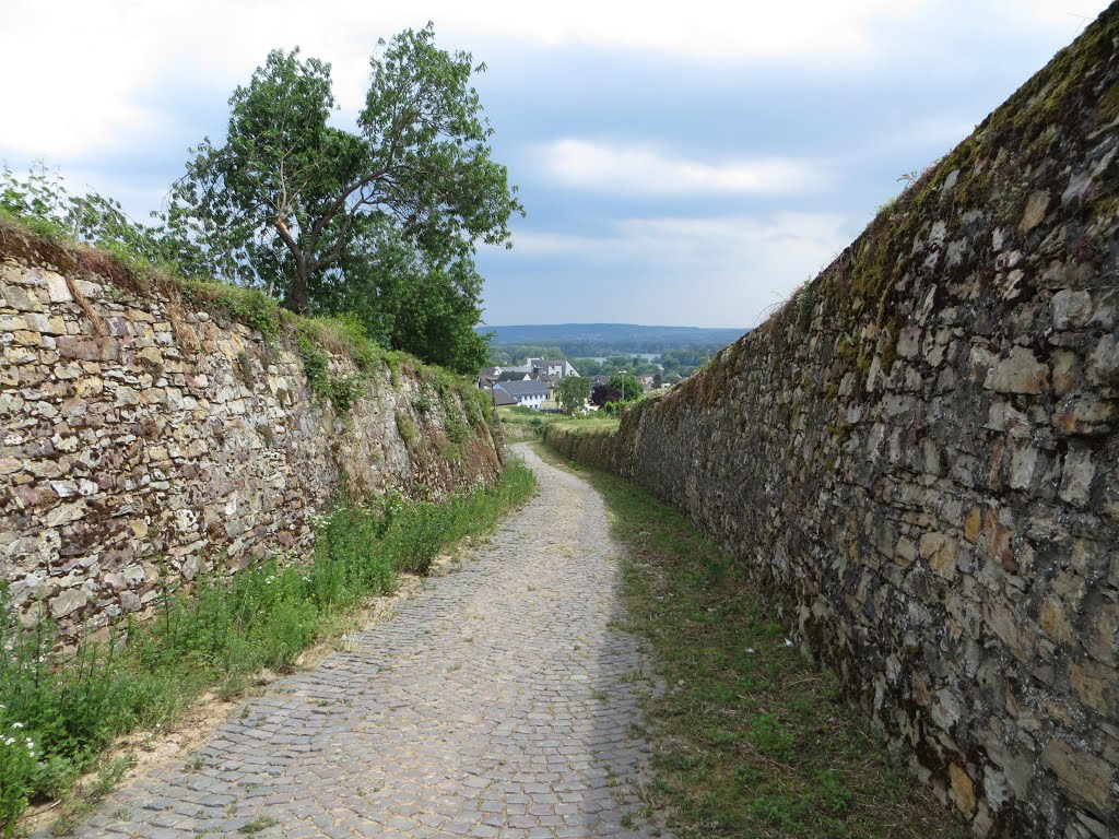 65385 Rüdesheim am Rhein, Germany by Frank Frankenstein