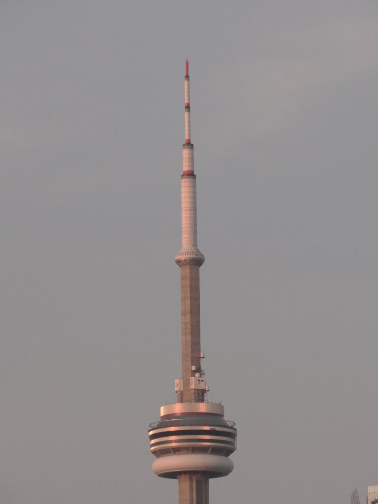 Downtown, Toronto, ON, Canada by David Brown