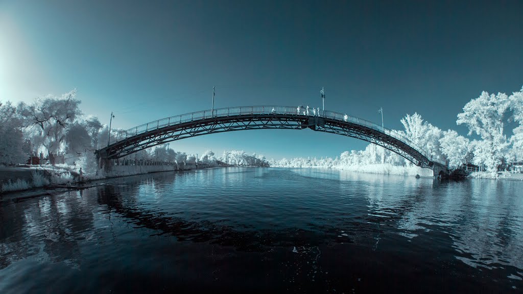 Горбатый мост в парке *INFRARED*, июнь 2015 by Roman NMSK