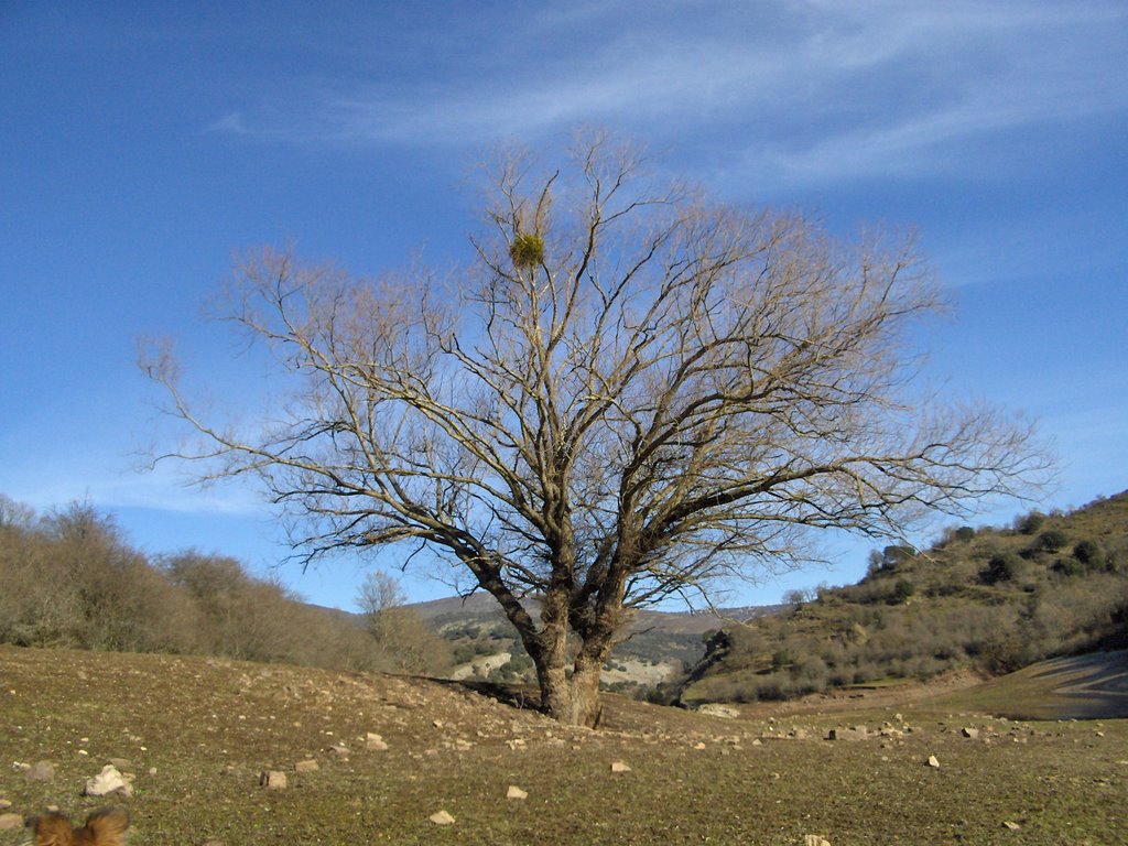 Pantano de Mansilla by rioja1979