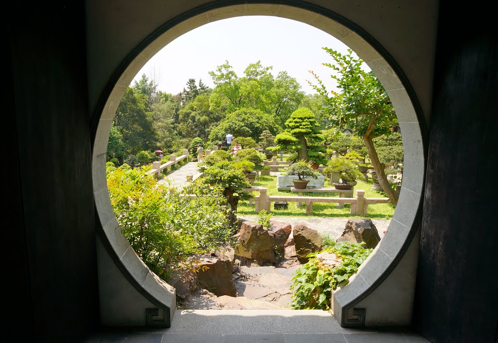 Il Giardino dei Bonsai.The Bonsai Garden. by Landi Paolo (brezza)