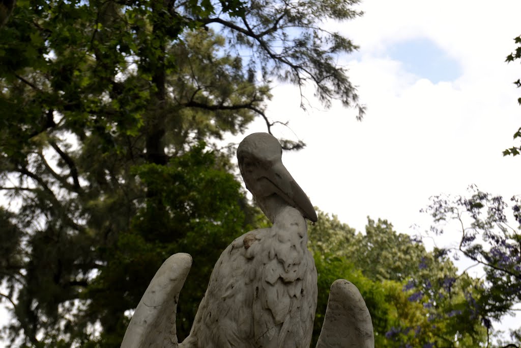 FONT DE LA CIGONYA I LA GUINEU (EDUARD ALENTORN) by Yeagov