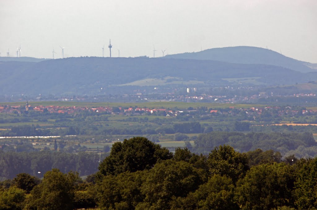 Eltville, Germany by Jürgen Düring