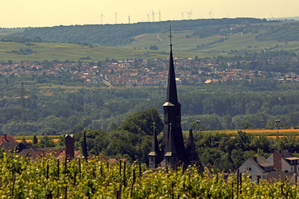 Eltville, Germany by Jürgen Düring