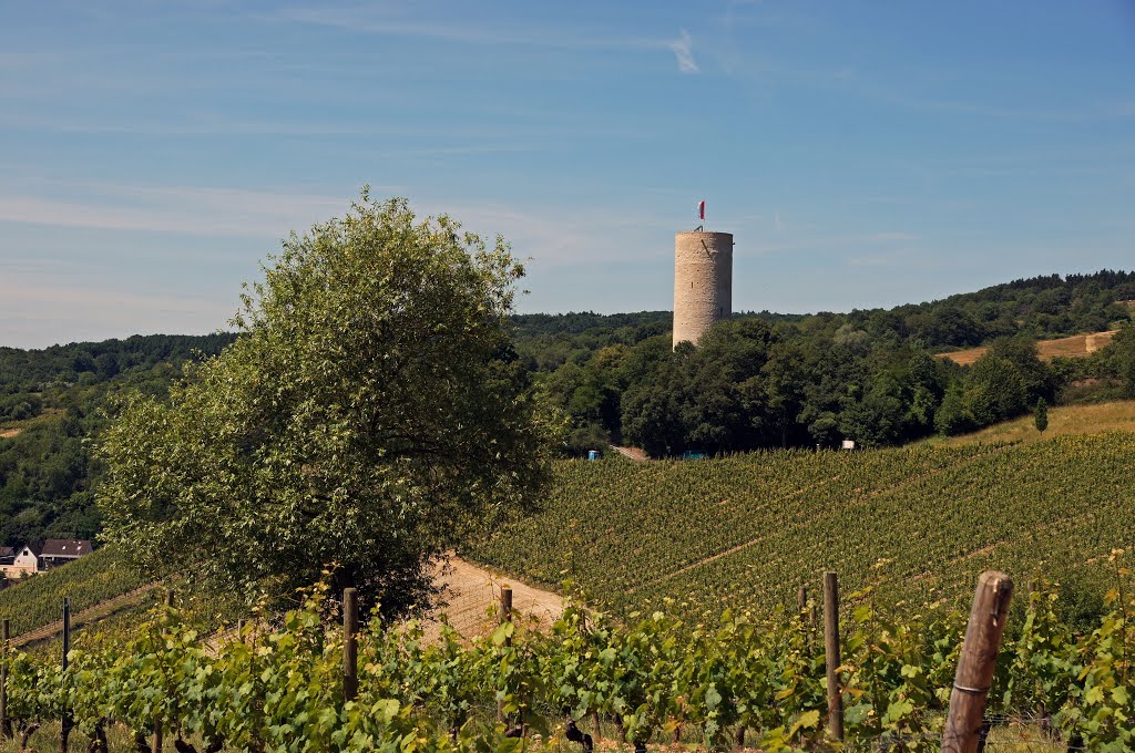 Eltville, Germany by Jürgen Düring