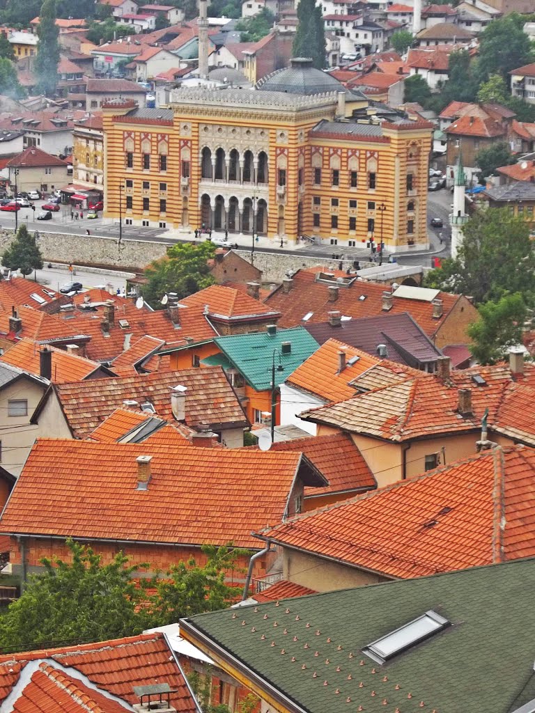 Sarajevo City Hall and mahalas by An89Go