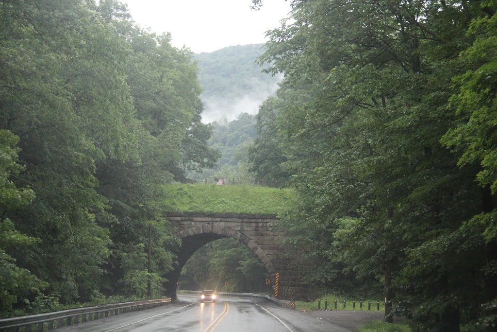 Rt 22 bridge by Ron Shawley