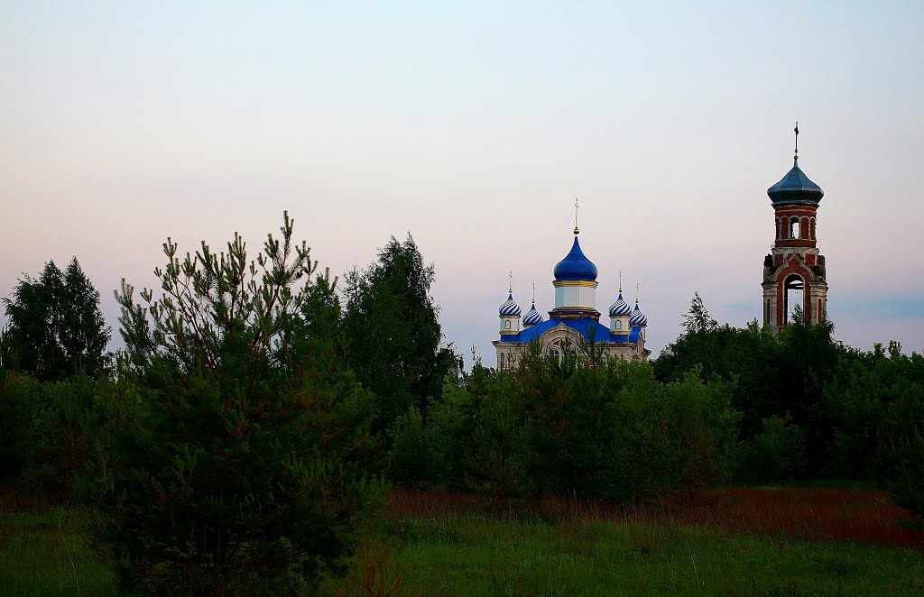 Kasimovsky District, Ryazan Oblast, Russia by Валерий Гудков