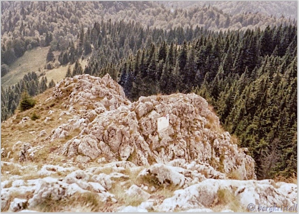 Absturz Gedenkstein by bergkristall Harz