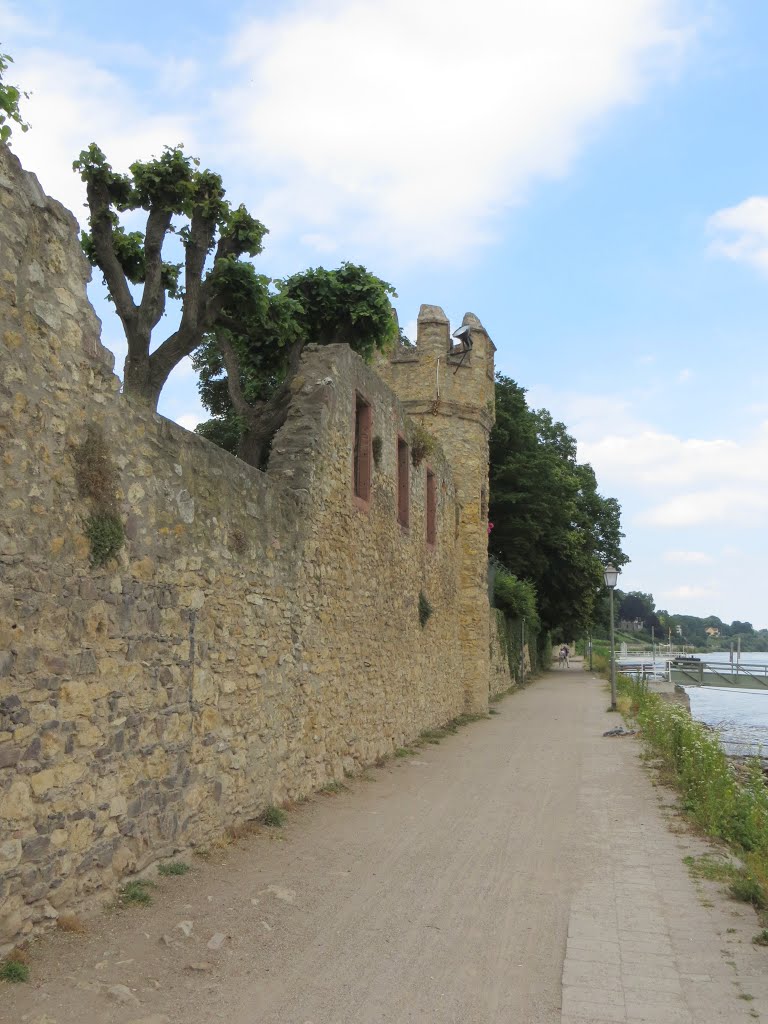 Altstadt, 65343 Eltville am Rhein, Germany by Frank Frankenstein