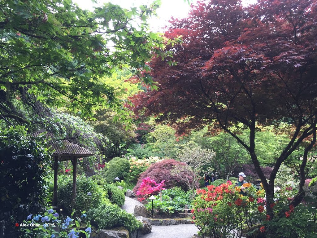 The Butchart Gardens, BC. Canada by Alex Ohan