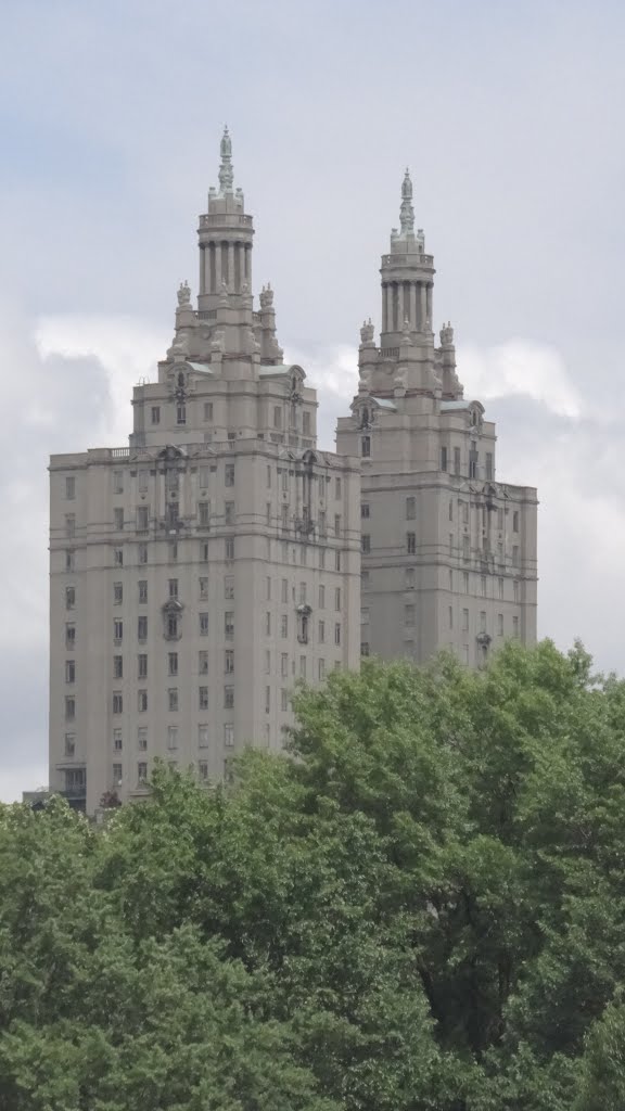 Central Park, New York, NY, USA by David Brown