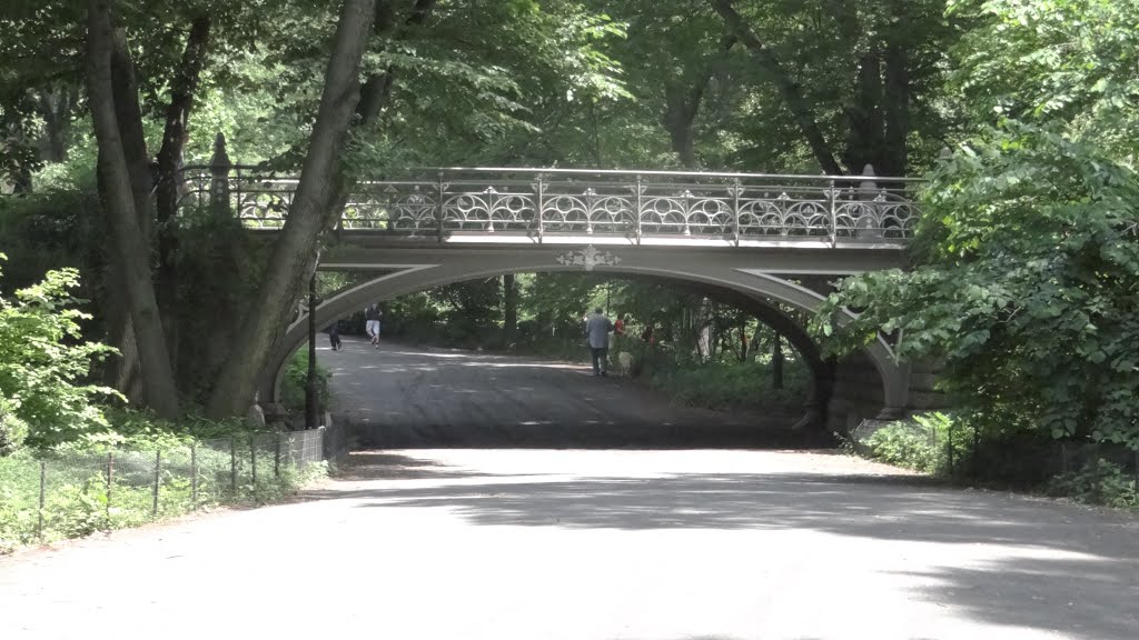 Central Park, New York, NY, USA by David Brown