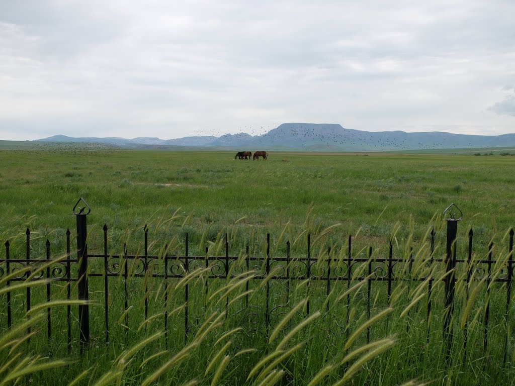 Baydibek District, Kazakhstan by Mathias B.