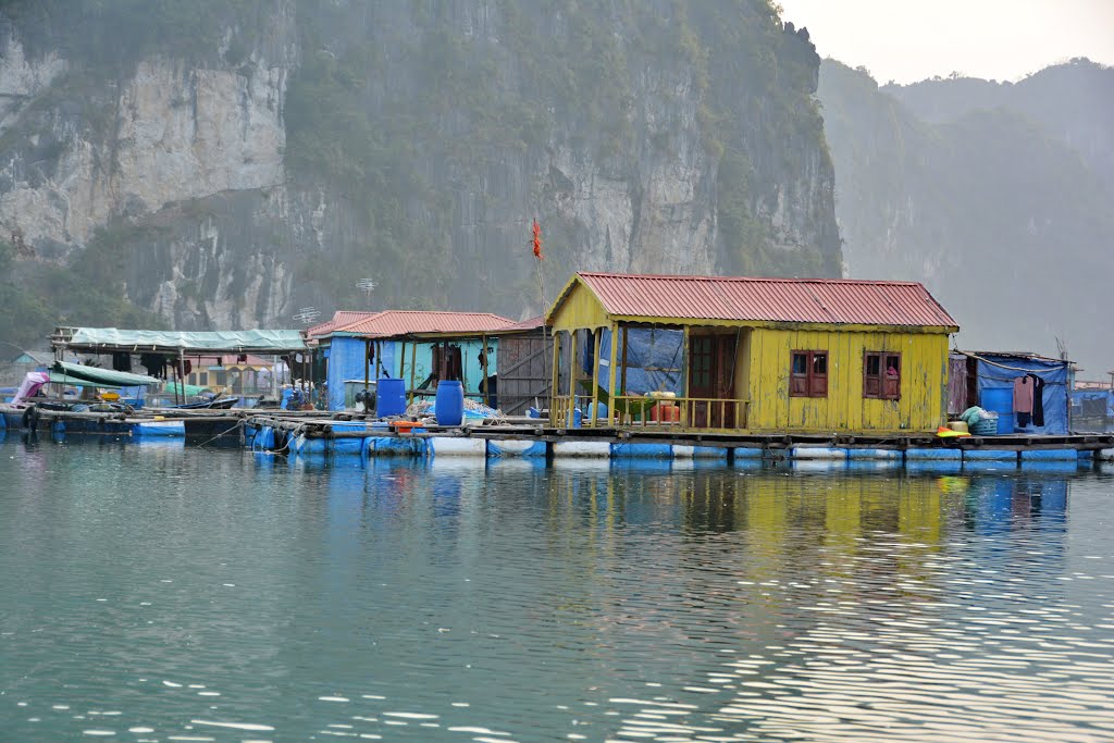 Hạ Long Bay, Vietnam. by Nicola e Pina Vietna…