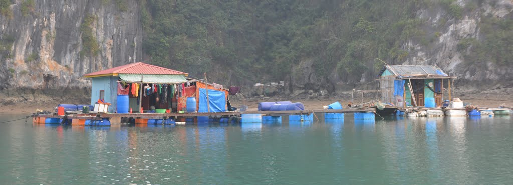 Hạ Long Bay, Vietnam. by Nicola e Pina Vietna…