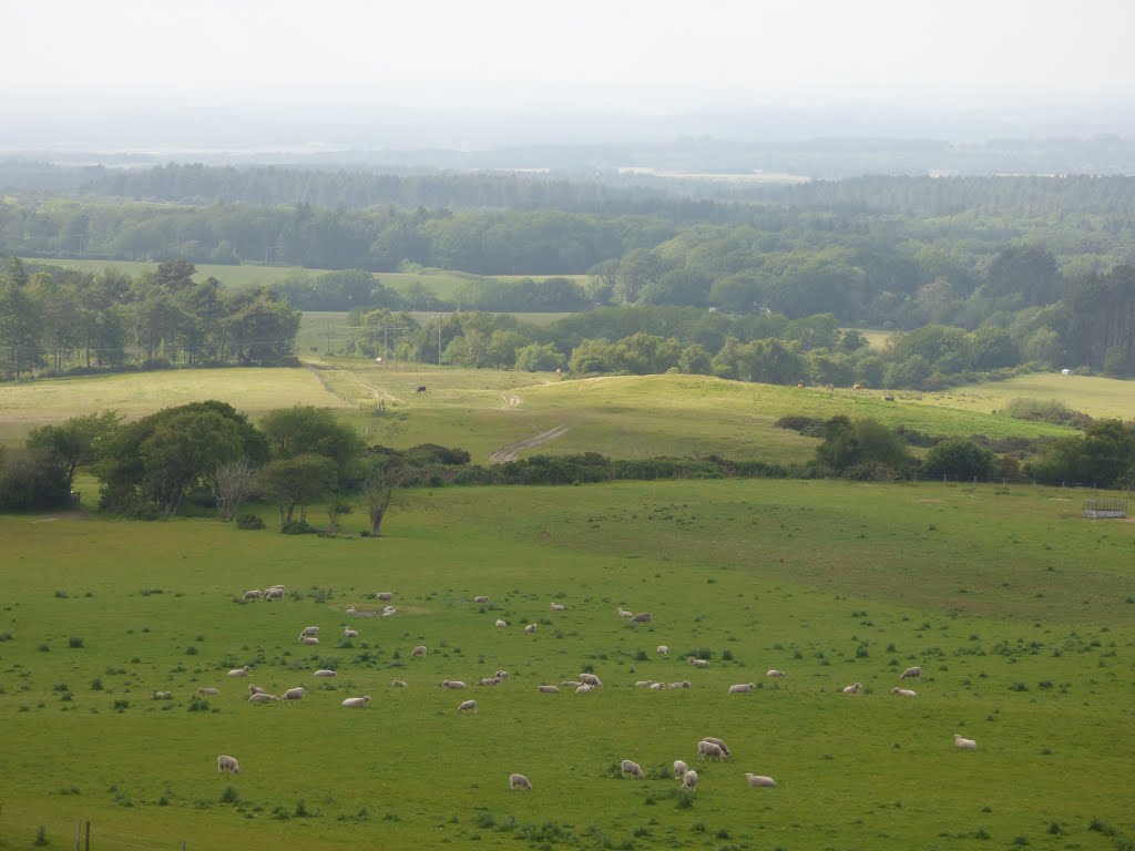 Studland farms 2015 by hatsuq y