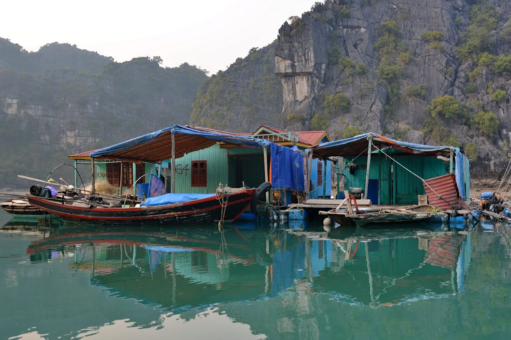 Hạ Long Bay, Vietnam. by Nicola e Pina Vietna…