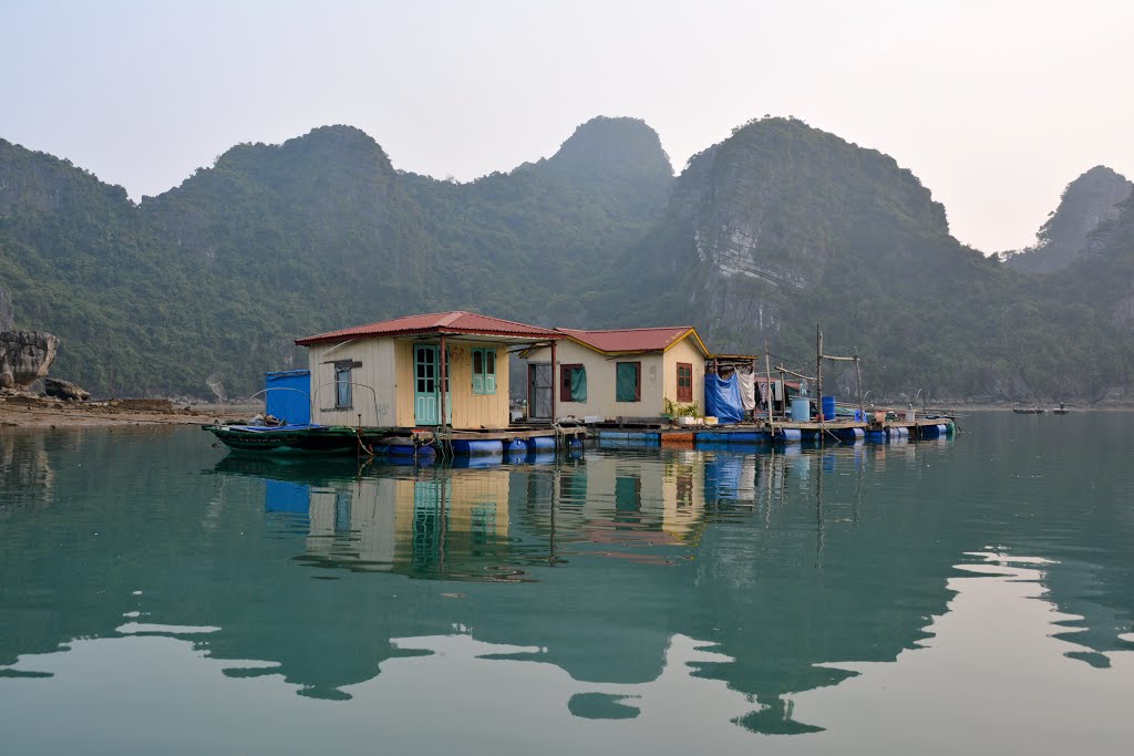 Hạ Long Bay, Vietnam. by Nicola e Pina Vietna…