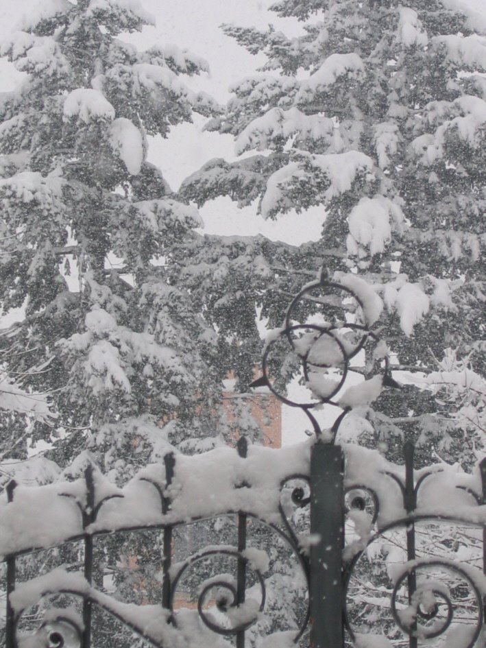 Borromeo's Castle, snowfall on 27.01.06 by mailpaga