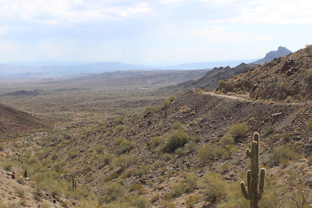 Looking towards Swansea Ghost Town by www.azoffroad.net