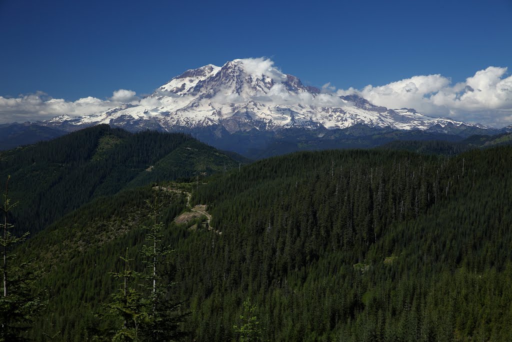 Mt. Rainier from Purcell Mt. NW "trailhead" area by Kris Minnear