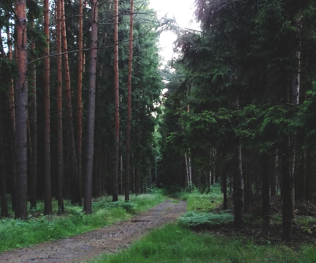 Stalowa Wola, Poland by kolano antoni