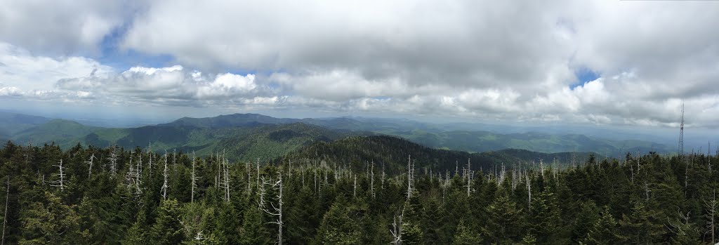 Clingmans Dome by daffordile