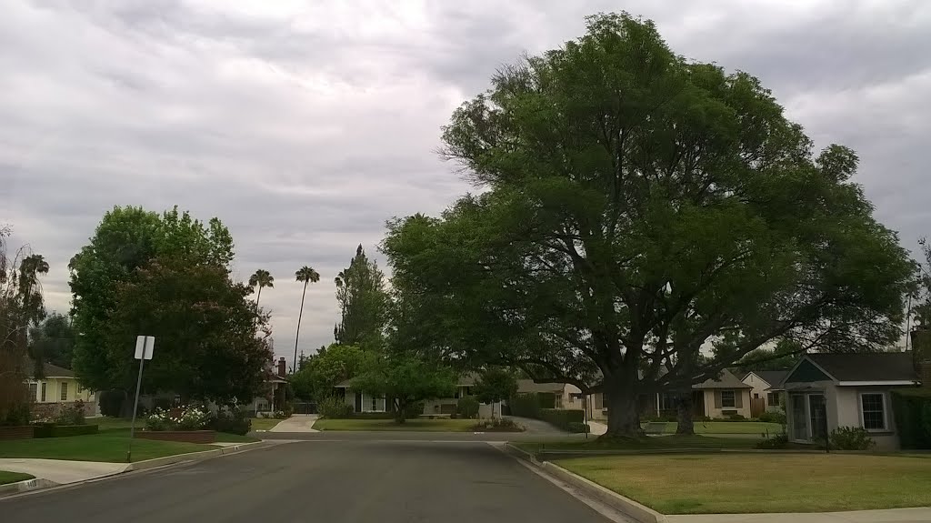 Larkdale Road San Gabriel, California by AlexLiSu