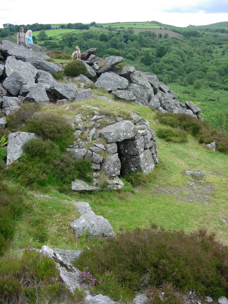 Bee hive hut Holwell Tor by thehugefamily