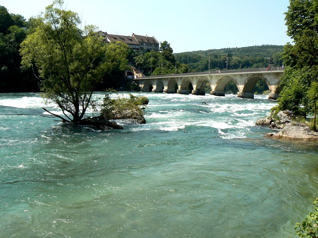 Rheinfall, Schaffhausen, Svájc by Balázs Hornyák