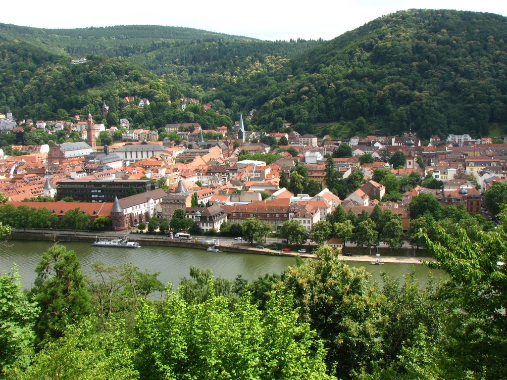 Heidelberg view by Nastya Nes