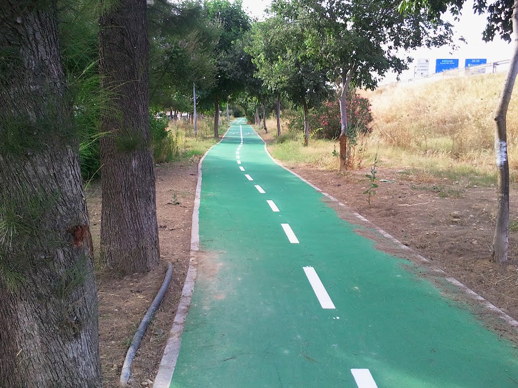 CARRIL BICI EN CAMAS by ALFONSO OLALLAREAL