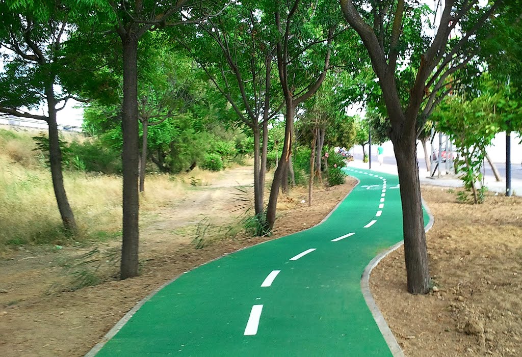 CARRIL BICI ENTRE ARBOLES by ALFONSO OLALLAREAL