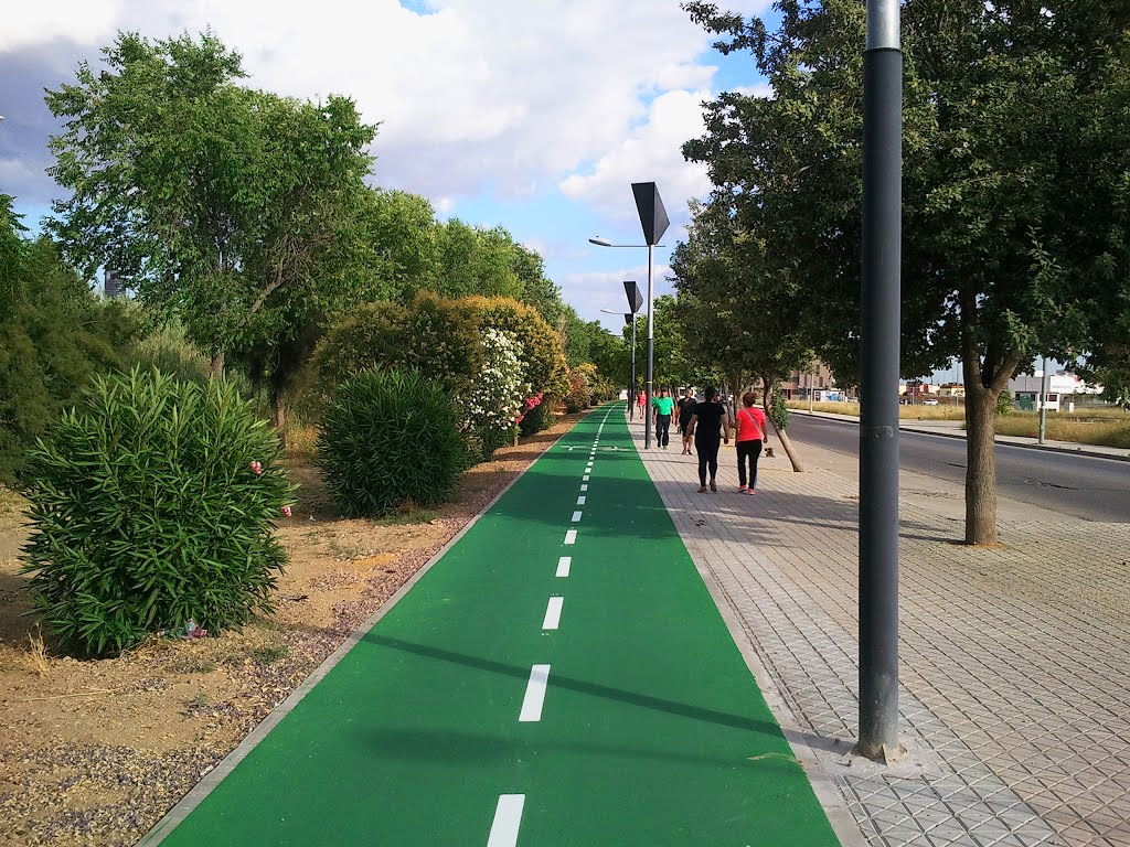 CARRIL BICI by ALFONSO OLALLAREAL