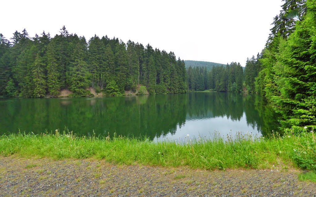 Harz - Unterer Schalker Teich by Wolfgang Spillner