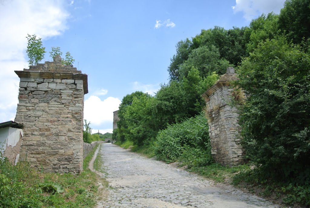 Stare Misto, Kam'yanets'-Podil's'kyi, Khmel'nyts'ka oblast, Ukraine by Pikula