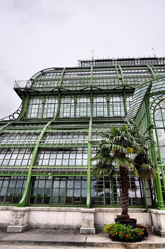 Wiedeń - Schönbrunn, orangery by majasa