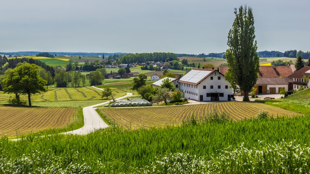 Ausblick bei Rottwinkl by moatlspeed