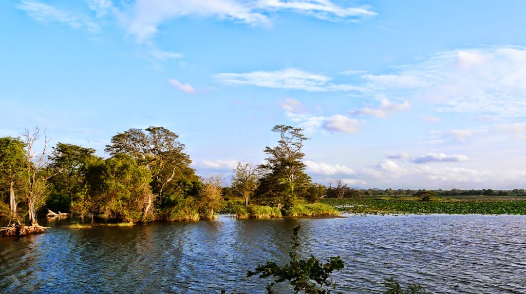 Wetlands near Habarana by Jillipp