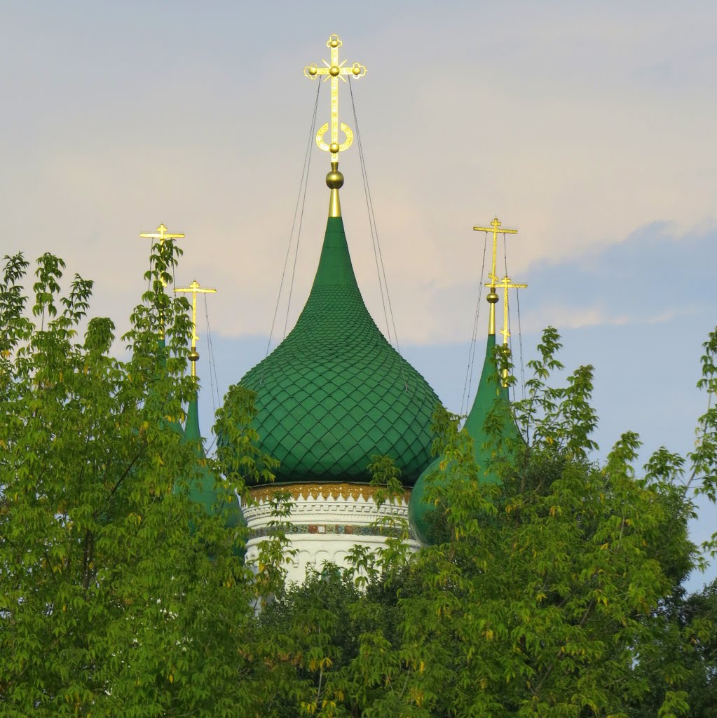 The domes of the Cathedral of the Presentation of the Blessed Virgin (1681-1683) / Введенский собор (собор во имя Введения во храм Пресвятой Богородицы) by Sergey Kreps