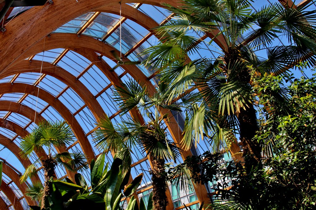 Inside the Winter Gardens by mwe4899