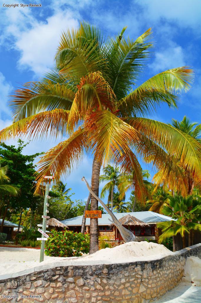 Unnamed Road, St Vincent and the Grenadines by Styve Reineck