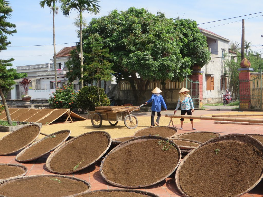 Lạng Am, Lý Học, Vĩnh Bảo, Hải Phòng, Vietnam by Dần Lê