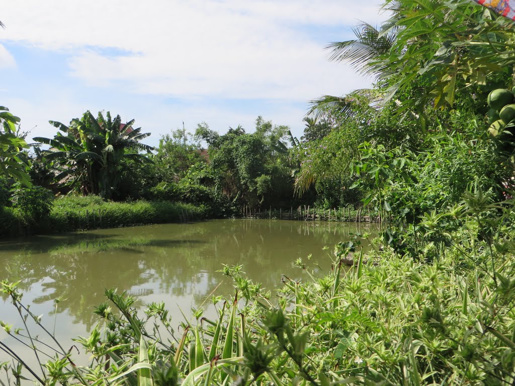 Hậu Chùa, Liên Am, Vĩnh Bảo, Hải Phòng, Vietnam by Dần Lê