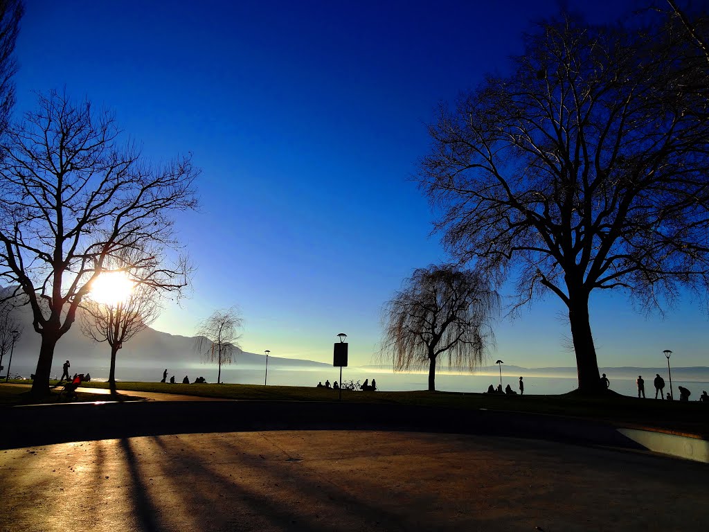 L'Arabie's Vevey on fall by Picea Abies