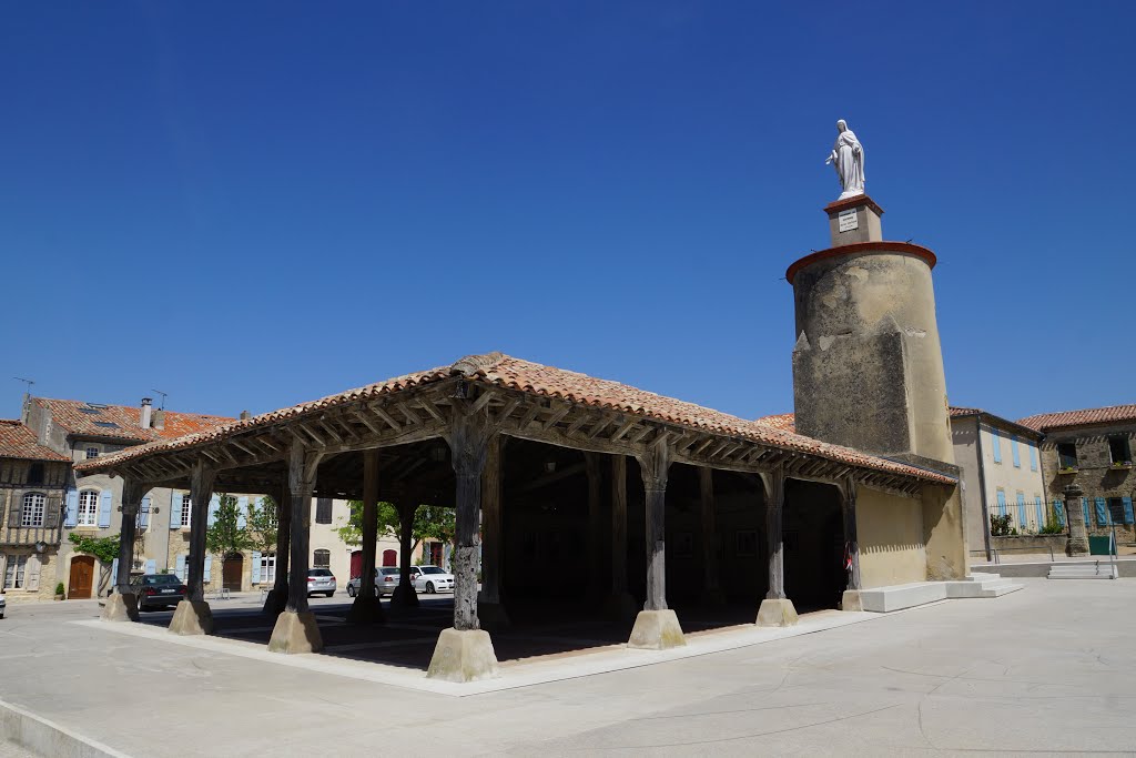 31540 Saint-Félix-Lauragais, France by Herve Legan