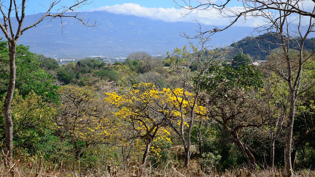 El Rodeo, San José, Costa Rica by latforum